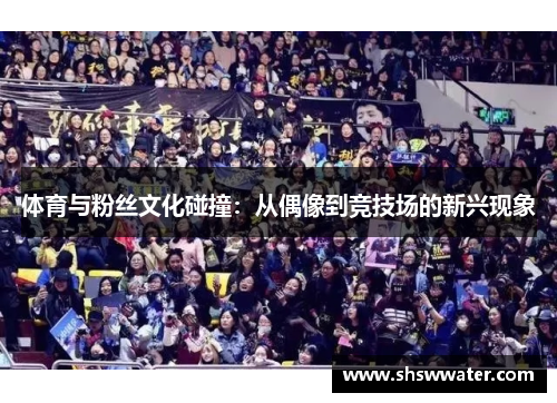 体育与粉丝文化碰撞：从偶像到竞技场的新兴现象