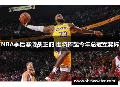 NBA季后赛激战正酣 谁将捧起今年总冠军奖杯