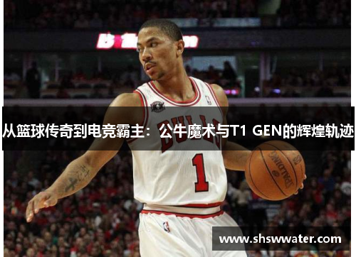 从篮球传奇到电竞霸主：公牛魔术与T1 GEN的辉煌轨迹