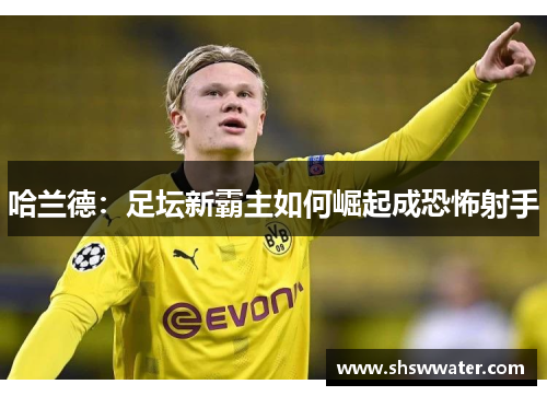 哈兰德：足坛新霸主如何崛起成恐怖射手