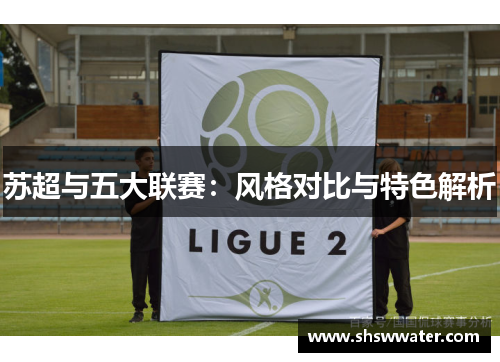 苏超与五大联赛：风格对比与特色解析