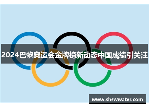 2024巴黎奥运会金牌榜新动态中国成绩引关注